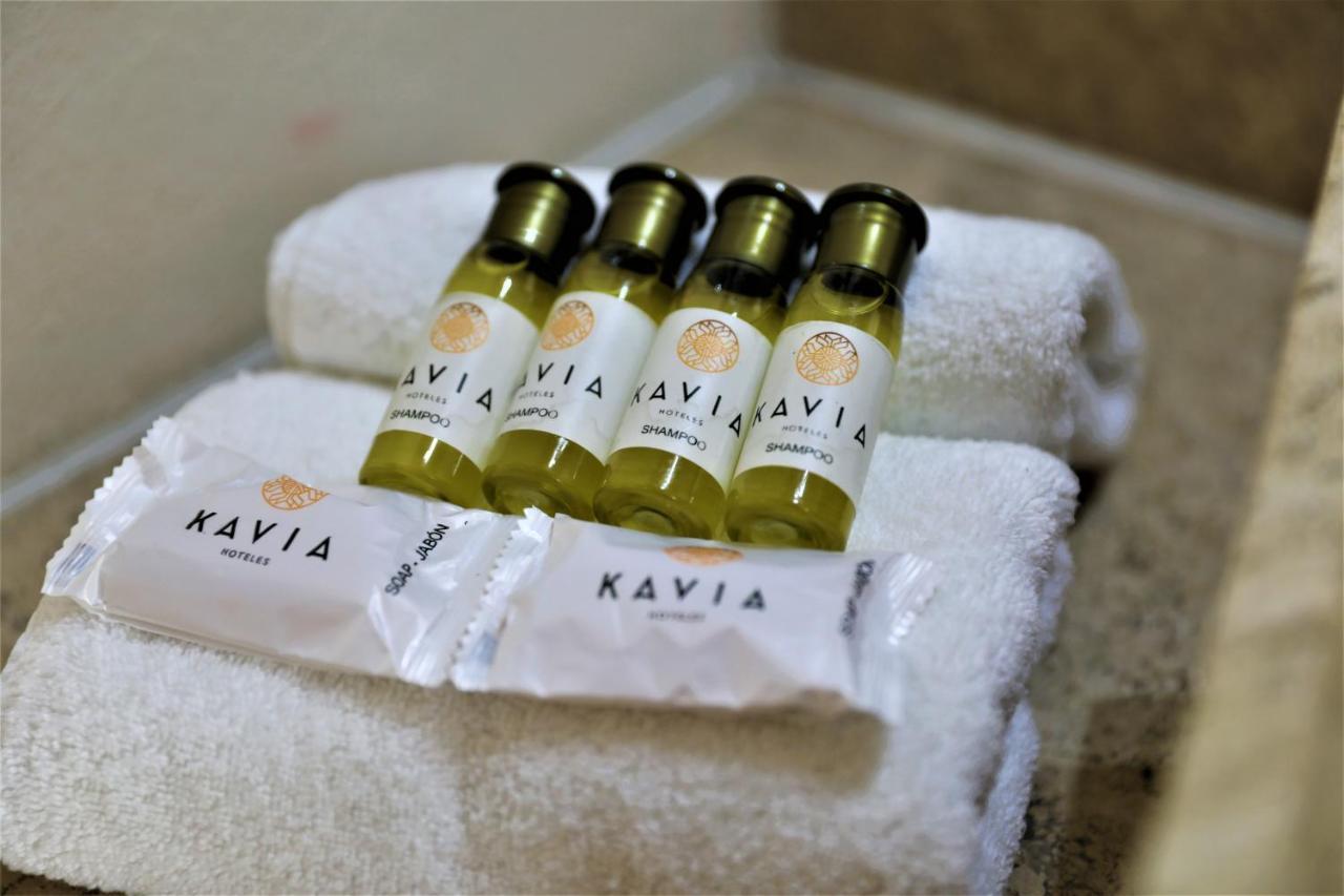 פלאייה דל כרמן Hotel 12 Bees By Kavia מראה חיצוני תמונה